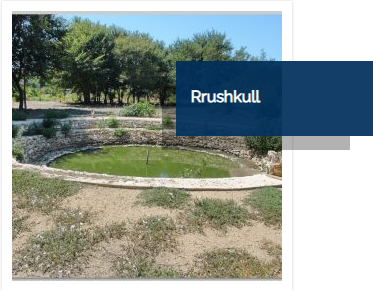 Rrushkull