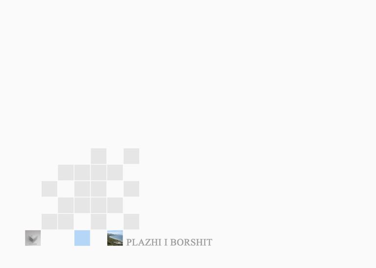 Plazhi Borsh